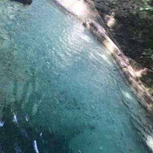 Meet your Posher, Adriana